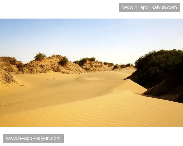 大漠孤烟直与京华风云起：新疆vs北控，一场关于尊严与野心的“丝路”博弈